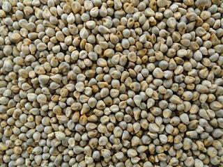 Manufacturers Exporters and Wholesale Suppliers of Milled Seeds Ahmedabad Gujarat
